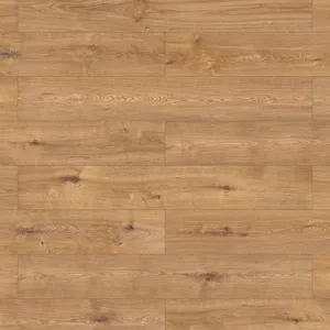 Дуб Кампо – миниатюра 1