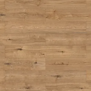 Дуб Линдау – миниатюра 1