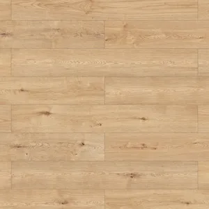 Дуб Милано – миниатюра 1