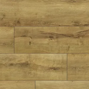 Дуб Пеория – миниатюра 1