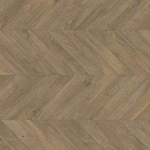 Дуб оливково-коричневый – миниатюра 1