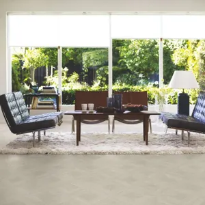 Дуб Дворцовый серый – миниатюра 2