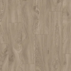 Дуб испанский какао – миниатюра 1