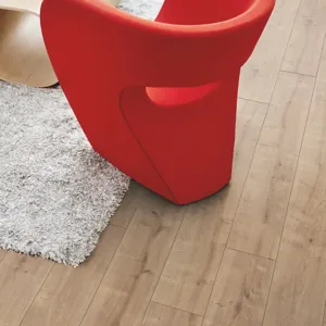 Дуб канадский