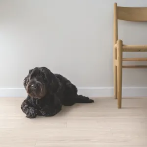 Дуб Лагом Светло-Бежевый – миниатюра 2