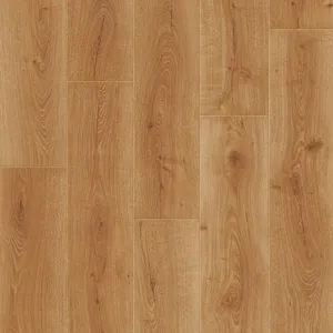 Дуб Гончарный – миниатюра 1