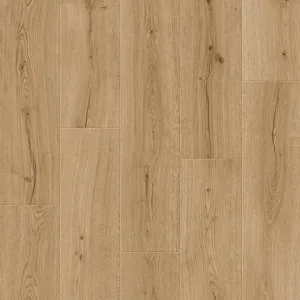 Дуб Кашемир – миниатюра 1