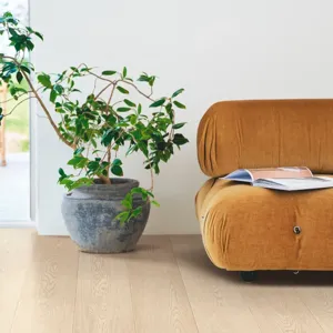 Дуб северный песок – миниатюра 2