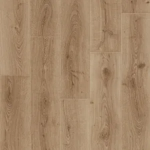 Дуб Восковый – миниатюра 1