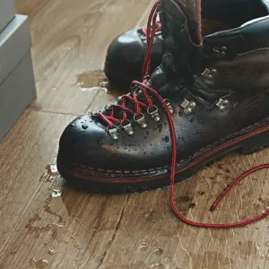 Фермерский дуб – миниатюра 3