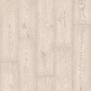 Дуб Белоствольный – миниатюра 1