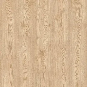 Дуб Столярный – миниатюра 1